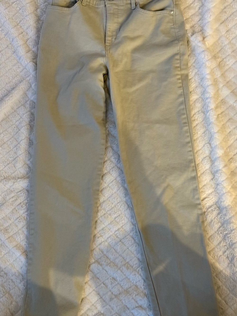 Gloria Vanderbilt Straight Leg Pants in Light Khaki